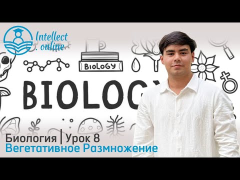 Видео: Биология | Вегетативное Размножение | Урок 8