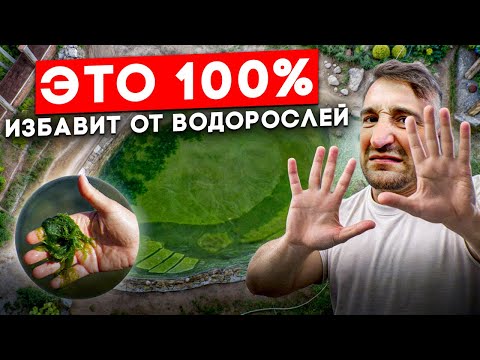 Видео: Водоросли захватили пруд | Как очистить пруд от водорослей? | Лучший прибор для очистки пруда