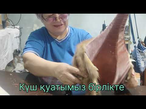 Видео: Күш қуатымыз бірлікте 