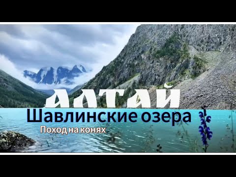 Видео: АЛТАЙ конный поход на Шавлинские озера #природа #алтай #travel #rozaross #горы #шавлинскиеозера