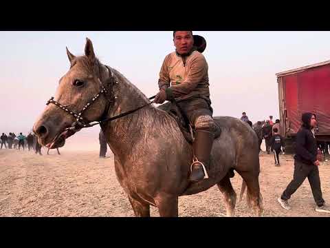 Видео: Арал Онлайн +996-703-505-596 