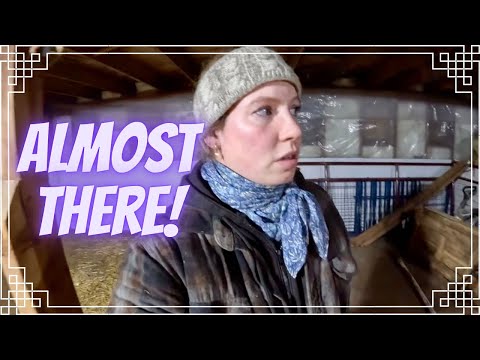 Видео: Прекрасная погода в ноябре!