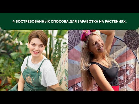 Видео: 4 Востребованных способа для заработка на растениях