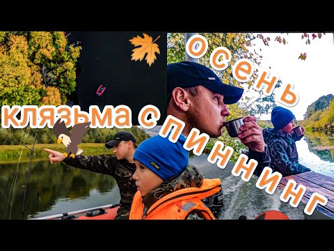 Видео: Спиннинг на Клязьме осенью Часть1 Природа окрестностей реки Клязьма Владимирская область