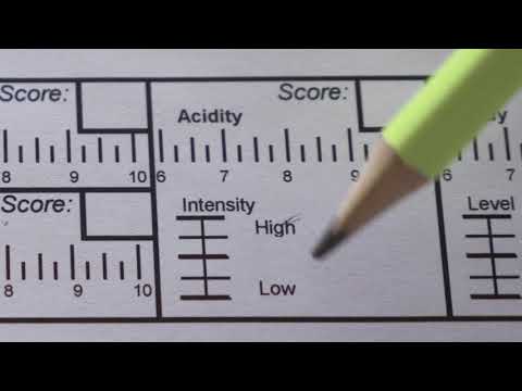 Видео: Выбираем лучший кофе. Часть 1. Профессиональная оценка кофе по системе SCA