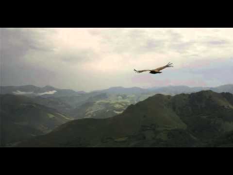 Видео: Хелависа - Неукротимое племя