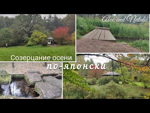 Видео: Японский сад в Москве. Стоит ли туда ехать?
