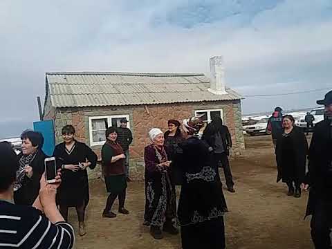 Видео: Баянаулдын жигиттери