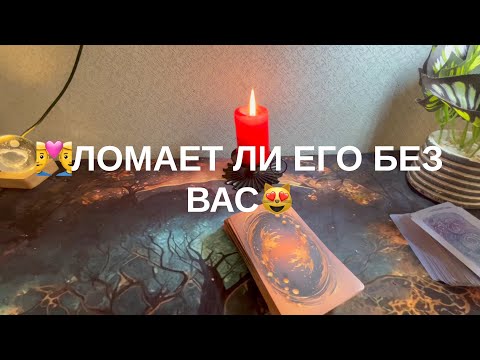 Видео: 3 ноября 2025 г.