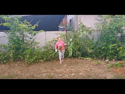 Видео: Как у нас бурили скважину, а я с горцем боролась.