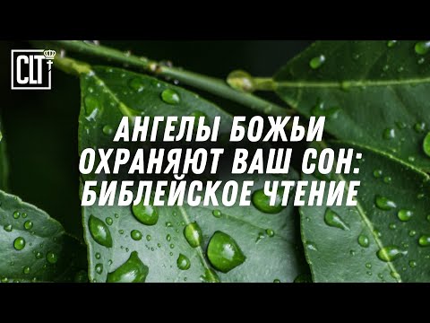 Видео: Слушая слова из Писания, вы почувствуете себя окруженными Его любовью и Ангельской охраной #Relaxing
