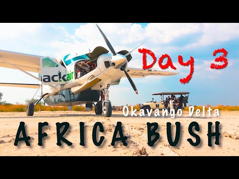 Видео: Полеты над африканским кустарником // Центральный заповедник Калахари и дельта реки Окаванго в Бо...