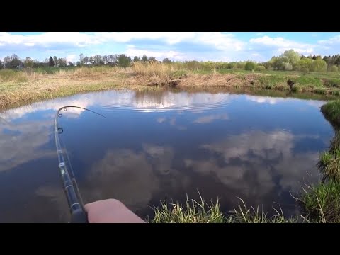 Видео: КАК ПОЙМАТЬ КРУПНУЮ ЩУКУ на МАЛЕНЬКОЙ РЕКЕ!?