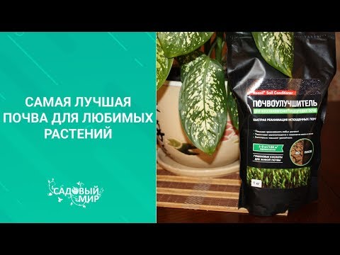 Видео: Самая лучшая почва для  домашних любимых растений