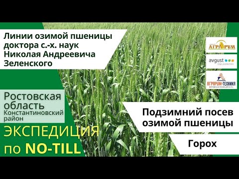 Видео: Экспедиция NO-till 2021: подзимний посев озимой пшеницы в Ростовской области