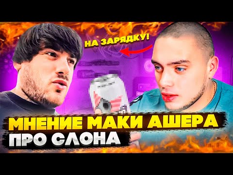 Видео: МНЕНИЕ МАКИ АШЕРА ПРО СЛОНА И КИЕВСТОНЕРА! СЛОН ХОТЕЛ СТРИМ С ГАНТЕЛЕЙ?! МОТИВАЦИЯ