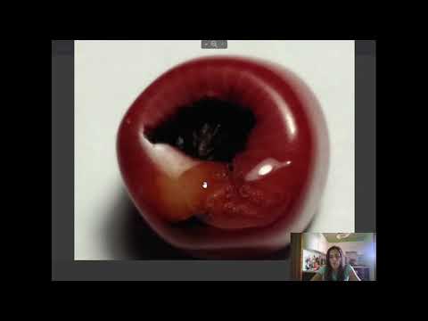 Видео: Как определить коралл и почему, если идет реакция на уксус это не всегда дорогой коралл.