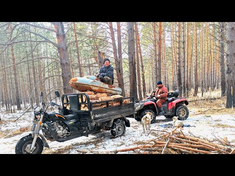 Видео: КИТАЙСКИЙ МОНСТР НА ЦЕПЯХ. ЕДЕМ ЗА ВАЛЕЖНИКОМ. ПРОВЕРЯЕМ ЖЕРЛИЦЫ.