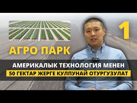 Видео: Эмне үчүн 50 гектар? Агро Парк деген эмне? | Агро Парк | 1-бөлүк