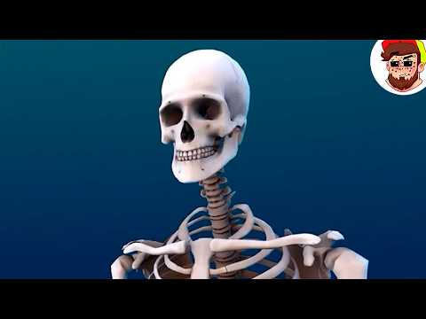 Видео: Удивляюсь Строению Человека 🙉 ( VR )
