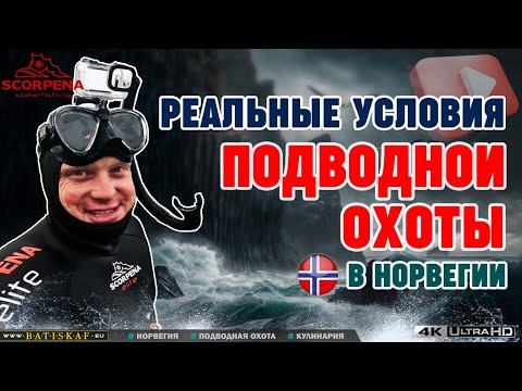 Видео: Вылез на скалу.Реальные условия подводной охоты в Норвегии