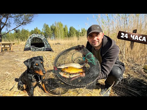 Видео: 24-Часа на острове! Поставил вершы и сеть. Сделал пол на домик на дереве