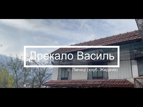 Видео: Дрекало Василь с.Лівчиці (клуб Жидачів) - знайомство з голубками