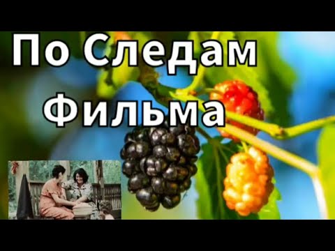 Видео: По Следам Известного Фильма 🎥🎬🎞