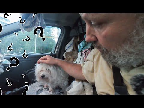 Видео: После 9 лет в семье вернулась обратно к нам...Почему?!