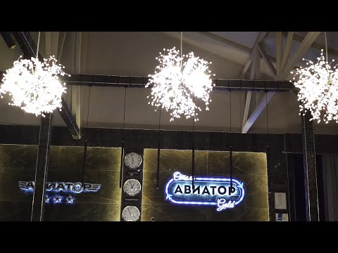 Видео: Где можно переночевать в аэропорту  #шереметьево#airport#flyingbeast#hotel#WaitingforFlight