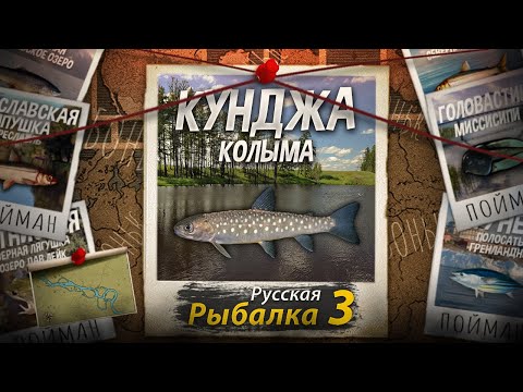 Видео: "Мутант" Кунджа. Колыма. Русская Рыбалка 3.