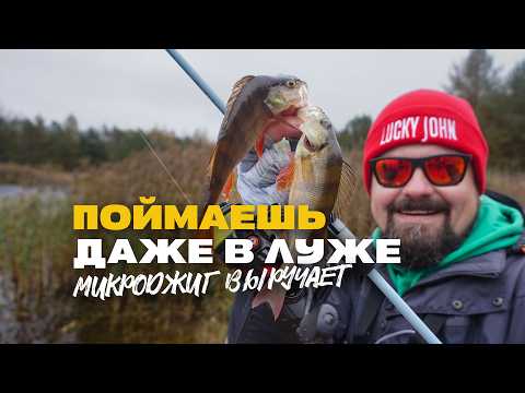 Видео: Микроджиг Выручает Ловля Окуня на УЛ Спиннинг Осенью в Луже