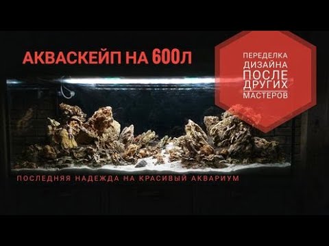 Видео: Запуск аквариума на 600л. Хардскейп из камня Дракон. Часть 1.