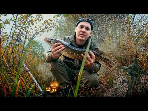 Видео: 🎃ЩУКА НА ХЭЛУИН 👹 КРОВАВАЯ РЫБАЛКА 💥HALLOWEEN 🎃 