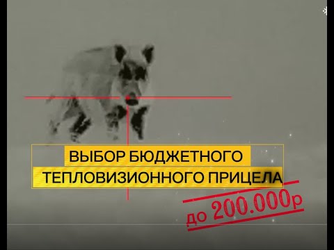 Видео: Хотите сэкономить на покупке тепловизора и при этом НЕ потерять в качестве?