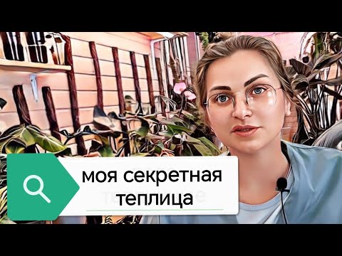 Видео: цветочная болталка или как на четверти кв.метра разместить 150+ растений