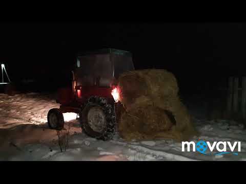 Видео: Стройка ангара для овец// Часть 3 "финал"