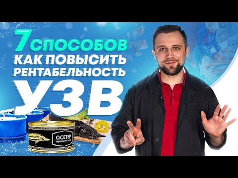 Видео: ТОП 7 СПОСОБОВ повышения РЕНТАБЕЛЬНОСТИ УЗВ | Бизнес ИДЕИ
