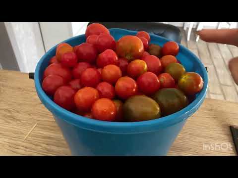Видео: Закатки делаю / сырники жарю😉Вперёд к стоматологу 🥲Немного покупок👍