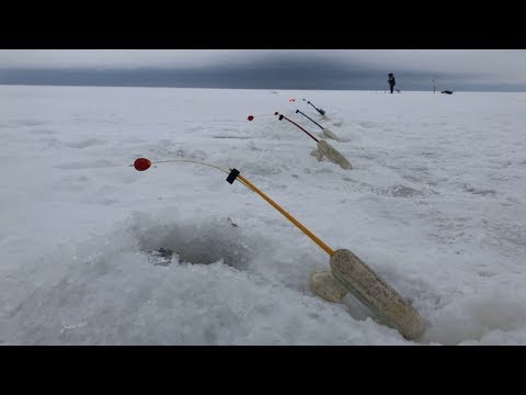 Видео: Ловля корюшки на Финском заливе | Дамба | Южная сторона