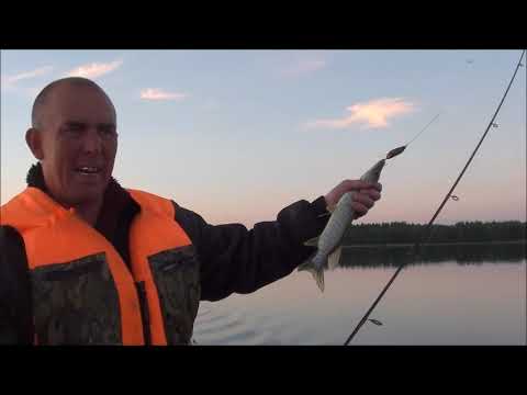 Видео: Веселая рыбалка. Гимольское озеро. Часть 5.