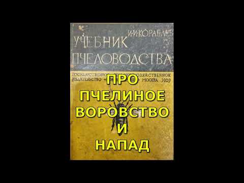 Видео: 🔴 Что писал про пчелиное воровство профессор Кораблёв 🔴