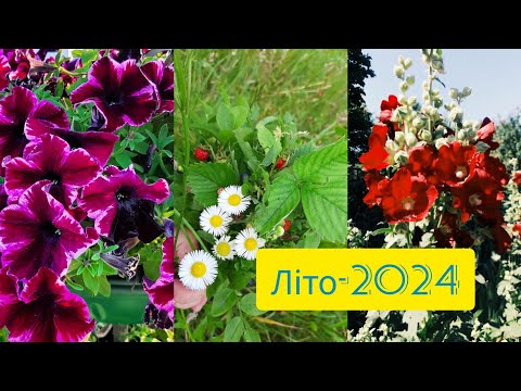 Видео: Моя добірка на літо 2024 року.🌞🌼