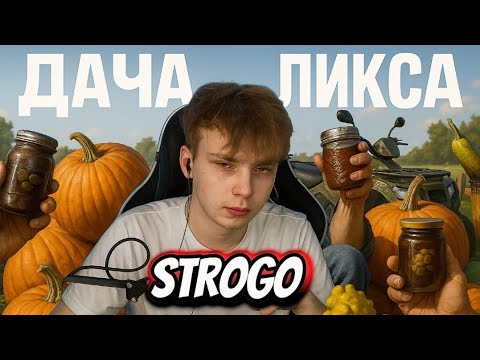Видео: Строго уехал на дачу линкса ирл стрим нарезки strogo