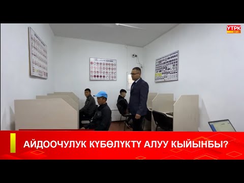Видео: АЙДООЧУЛУК КҮБӨЛҮКТҮ АЛУУ КЫЙЫНБЫ?