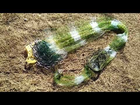 Видео: Кастинговая сеть 5м яч35.