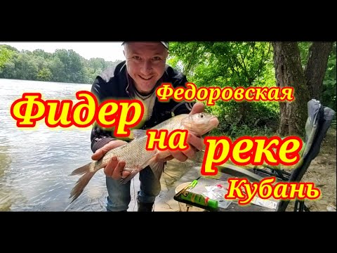 Видео: Фидер на реке. Рыбалка на Кубани. Фёдоровский гидроузел.