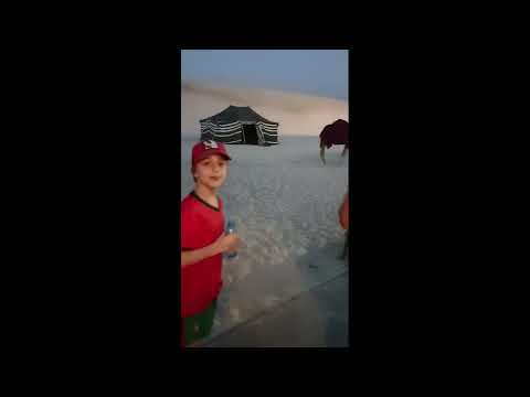 Видео: Сафари. Катар .Верблюды. Ланч среди пустыни. #доха #travel #катар #сафари