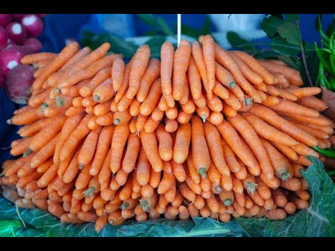 Видео: Я.Ненавижу.Морковку.(и Корекиё)