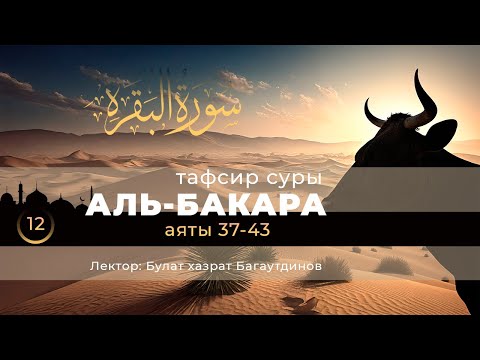 Видео: 12 Тафсир суры аль Бакара | аяты 37-43